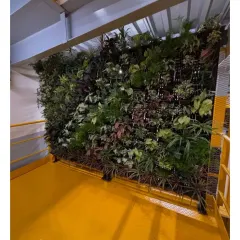 This image shows a large-scale vertical garden installation in an industrial-style space. The contrast between the vibrant green wall and the bright yellow floor creates a bold, modern, and energetic environment.