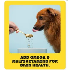 A healthy coat starts from within. Adding Omega and multivitamin supplements to your pet's diet can significantly improve their skin and coat health, making it shiny and strong.