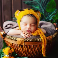 An adorable newborn portrait featuring a cozy, themed setup. This sleeping baby looks like a little tiger cub nestled in a basket, showcasing a creative approach to newborn photography.