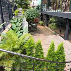 A high-angle view of the courtyard at Sweet Smith, showing the beautiful growth after months of our maintenance. The space has become a true urban garden, lush and inviting.