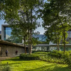 A view of the JSW Vasind office, where a stone-clad wall guides the pedestrian pathway through a lush, landscaped courtyard. The design prioritizes the human experience, preserving existing trees and creating a seamless connection to nature.