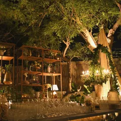 A full view of the rustic bar and decor setup for an outdoor event. We used wooden shelves for display, a greenery-adorned chandelier, and draped fabrics on the trees to create a cohesive, bohemian look.