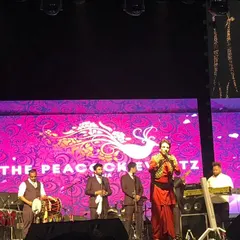 A wider view of the Gurdas Maan concert, showcasing the full band and the impressive scale of the stage production. We handle all technical aspects to ensure a seamless live performance.