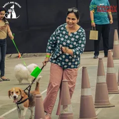 The lemon and spoon race is always a crowd favorite. I plan a variety of games that are fun for both pets and their parents, ensuring everyone is engaged and smiling. This shot shows a pet parent and her beagle navigating the course at our Pawsome Olympics.