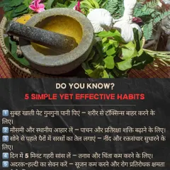 Here are 5 simple but effective Ayurvedic habits for better daily health, from drinking warm water in the morning to practicing deep breathing. Small habits lead to big changes.
