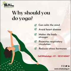 Why should you do yoga? This graphic breaks down the core benefits, from calming the mind and strengthening the body to reducing stress hormones. It's a holistic practice for a healthier, happier you.