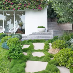 We designed this organic pathway using irregularly shaped flagstones with a wide grout line planted with hardy Zoysia grass. This technique softens the hardscape and creates a beautiful, natural path that feels integrated with the lawn.
