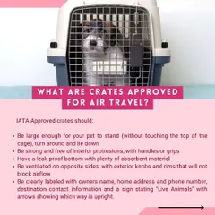 What makes a crate approved for air travel? This graphic explains the IATA standards, including size, strength, ventilation, and labeling, to ensure your pet's safety.
