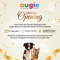 Grand Opening Alert! Join us for the grand opening of the Augie Store at Colombo South Animal Hospital. We can't wait to bring our premium products and services to the pet parents of Dehiwala.