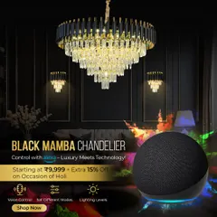 Control your mood lighting with Alexa. The Black Mamba Chandelier is not just a beautiful fixture; it's a smart device that lets you set different modes and lighting levels with your voice.