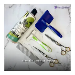The right tools make all the difference in grooming. We've curated a set of essential combs and brushes, including a de-shedding tool, a fine-tooth metal comb, and a gentle slicker brush, to keep your pet's coat healthy and mat-free.