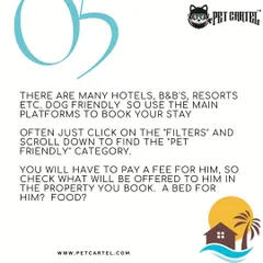Finding the right pet-friendly hotel or B&B is easier than you think. Many booking platforms have a "pet-friendly" filter, but I advise checking what fees apply and what amenities, like a bed or food, are provided for your companion.