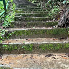 These mossy steps represent the journey of healing. It is not always easy, but the key is to keep going, listen to your heart, and have faith in every step forward.