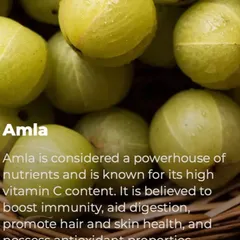 Amla, or Indian gooseberry, is a true powerhouse of nutrients, especially known for its extremely high vitamin C content. It is believed to boost immunity, aid digestion, and promote healthy hair and skin.