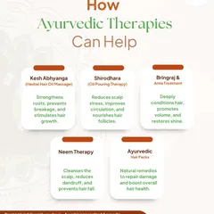 Discover how our Ayurvedic therapies can help combat hair fall. We offer treatments like Kesh Abhyanga (herbal oil massage) to strengthen roots, Shirodhara to reduce stress-related hair loss, and natural hair packs to repair damage and boost overall hair health.