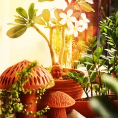 A beautifully styled corner featuring terracotta decor, including mushroom-shaped ornaments and a small Buddha head. The scene is brought to life with a variety of green plants and the warm glow of sunlight.