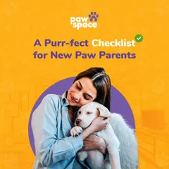 Welcoming a new puppy is exciting, and our checklist for new paw parents is here to help you prepare. This guide covers everything you need to get started on the right foot with your new furry family member.
