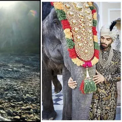 For this shoot, I styled an opulent, traditionally embroidered sherwani, creating a regal and powerful image. The interaction between the model and the adorned elephant adds a layer of narrative and grandeur to this menswear editorial.