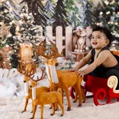 Dashing through his first year! This festive winter wonderland theme, complete with a sleigh and reindeer, is a magical way to celebrate a first birthday that falls during the holiday season.