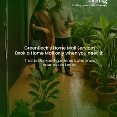 This is the happy ending we create. After worrying about her plants while away, Sunita returns to a balcony that is thriving, thanks to our on-demand Home Mali service.