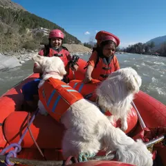 Rafting down the river with my two dogs and my mom is a memory I'll cherish forever. I teach you how to make water sports a safe and thrilling experience for the whole family.
