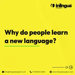 Why do people learn a new language? This post explores the different motivations, from necessity and career advancement to cultural interest and the simple joy of a mental challenge.