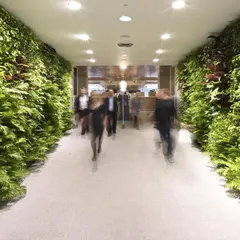 Step into serenity. This green corridor transforms a simple hallway into an immersive natural experience, creating a calming journey for employees and visitors.