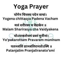 This is the invocation to the sage Patanjali, which we often chant at the beginning of practice. It is a prayer of gratitude for the gifts of yoga, which purifies the mind, grammar, which purifies speech, and Ayurveda, which purifies the body.