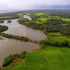 Coastal places are often just associated with beaches, but an aerial perspective reveals so much more. Here are the backwaters and lush mangrove forests around Udupi.