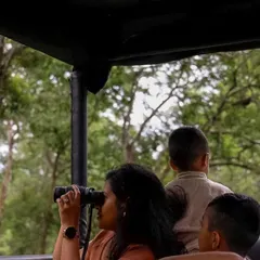 A mother and her children on a safari, sharing a moment of discovery as they look for wildlife.