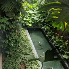 An aerial view of a long, narrow water body flanked by a vertical garden on one side and lush foliage on the other. This design is perfect for adding a water element to a constrained space.