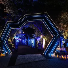 An entrance should be a portal to another world. For this modern cocktail event, I designed a series of geometric LED arches, bathing the walkway in electric blue light to build anticipation and create a dramatic, high-energy welcome for guests.