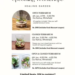 Another flyer for our January terrarium workshops, with options for open, closed, or a combined session. A great way to learn a new skill in the new year.