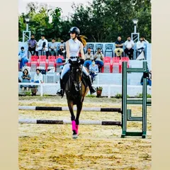A rider focused and in sync with her horse, preparing for a show jumping course. I provide dedicated training for competitive riders who want to improve their skills and compete at higher levels.