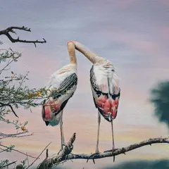 Two Painted Storks appear to be "necking," a common bonding behavior. Captured against a soft, pastel sunset, this image has a painterly quality that speaks of affection and partnership in the bird world.
