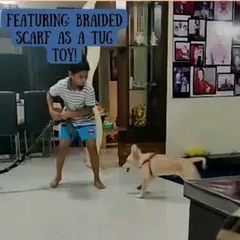 Here's a great example of a DIY braided scarf being used as a tug toy! It's a wonderful way to play interactively and burn off some of your dog's energy.