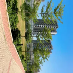 This is a section of a large corporate landscaping project for Adani Realty in Gurugram. I focus on selecting trees that complement modern architecture and create a welcoming green corridor for employees and visitors.