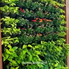 A close-up of a living vertical garden we installed for an MNC. It features a beautiful mix of flowering Kalanchoe and leafy Pothos, creating a colorful and dynamic wall of plants.