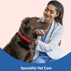 Kem Cho, Amdavad! We are excited to announce our arrival in your city with two new locations, offering special discounts on vet care, grooming, and pet food to celebrate our launch.