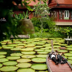 A serene, high-angle shot of a couple relaxing in a boat amidst giant lily pads, capturing a moment of peace during their Thailand adventure.