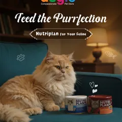 I'm so excited to offer this premium wet food for our feline friends. Nutriplan is crafted in Korea with fresh, high-quality tuna, and it's rich in taurine to support your cat's heart and vision. It's a delicious, healthy meal that shows your cat just how much you care.