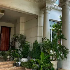 A throwback to some exciting projects, including a setup for Dharma Productions' "Call Me Bae" and adding large Dracaenas to a stunning Gurgaon courtyard.