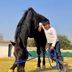 A young rider shares a special bond with one of our dark horses. We encourage children to connect with the animals, fostering a love and respect for them from a young age.