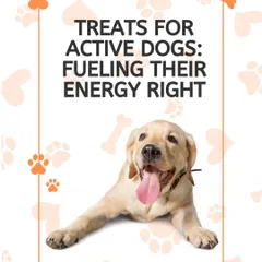 For the active dog that never stops, high-quality, protein-packed treats are essential. Our snacks provide lean protein for muscle support and omega-3s for endurance and focus.