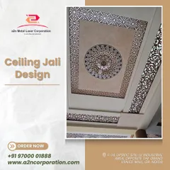 A close-up of a ceiling jali design featuring a central medallion with a Greek key pattern, surrounded by intricate floral jali work. This piece adds a strong focal point and a sense of classic elegance to the room's ceiling.