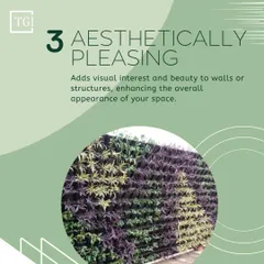 An informational graphic explaining how vertical gardens are aesthetically pleasing, adding visual interest and beauty to walls and structures.