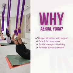 Why try Aerial Yoga? This practice offers deeper, supported stretches, makes inversions safe and accessible, builds both strength and flexibility, and is a wonderful way to relieve stress. Join us in our studio to experience these benefits firsthand.