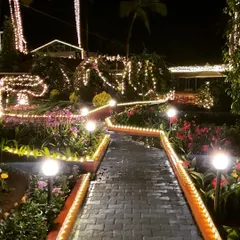 The garden pathways at this engagement venue were illuminated with strings of lights along the borders and globe lights. This not only ensures safety but also adds a warm and romantic glow to the landscape.