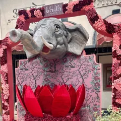 A straight-on view of the grand elephant installation, highlighting the intricate floral arch made of pink and burgundy roses that frames the entire structure.