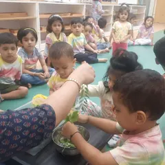 Each activity, from making Bhel Puri and toast to plucking methi leaves and exploring what floats, is a lesson in itself. These practical life and sensorial activities are central to the Montessori method, helping children develop fine motor skills, concentration, and a deep understanding of the world through their own actions.